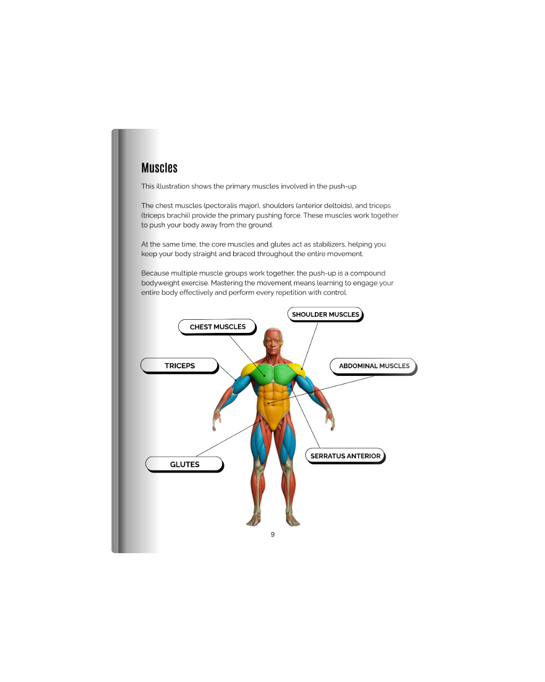 The Home Trainer's Handbook