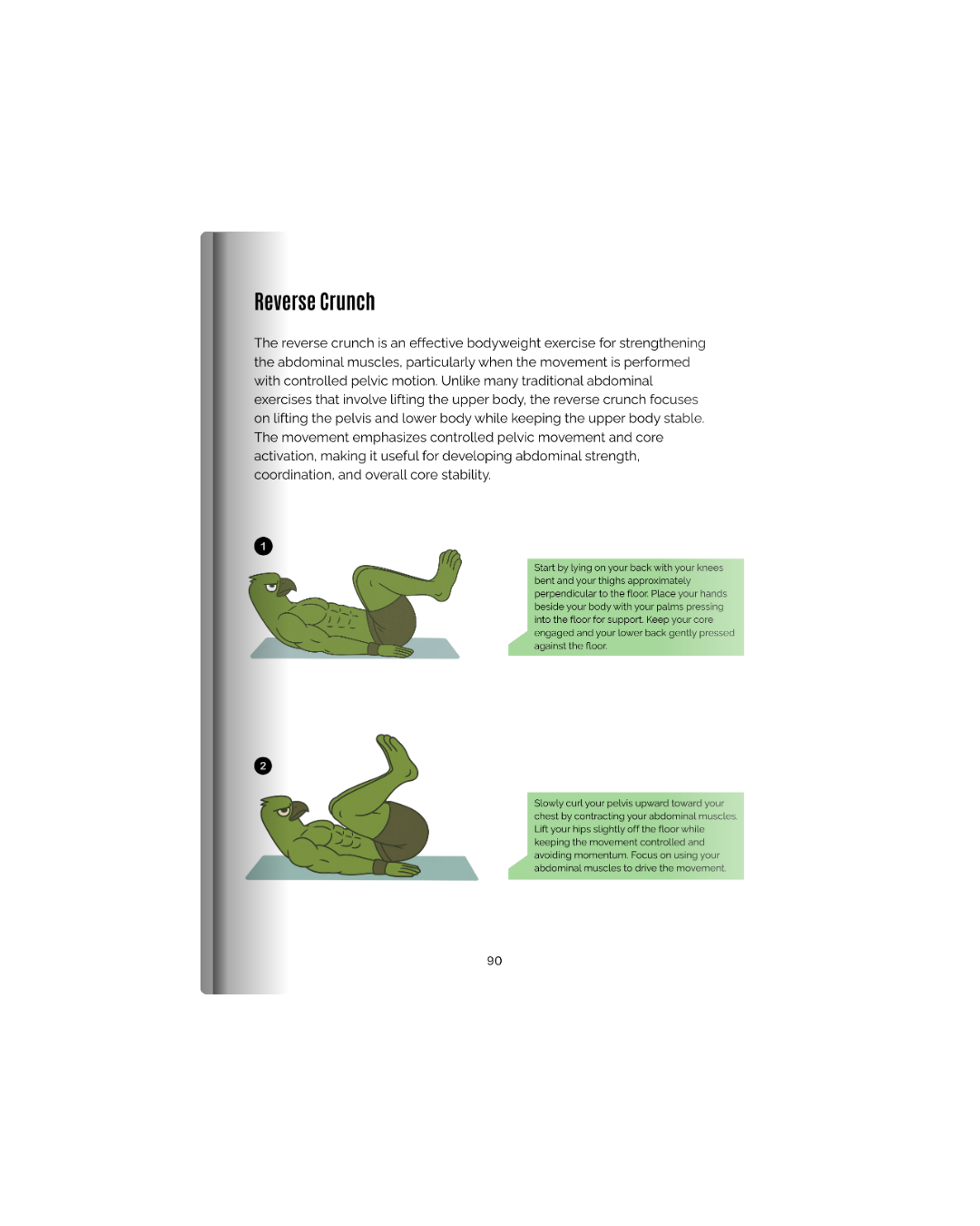 The Home Trainer's Handbook